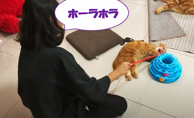 娘とネコ.jpg